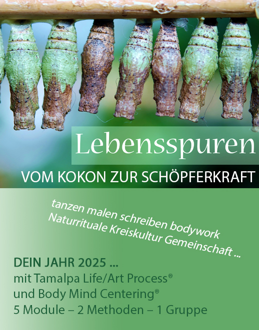 LEBENSSPUREN - Jahrestraining 2025/26